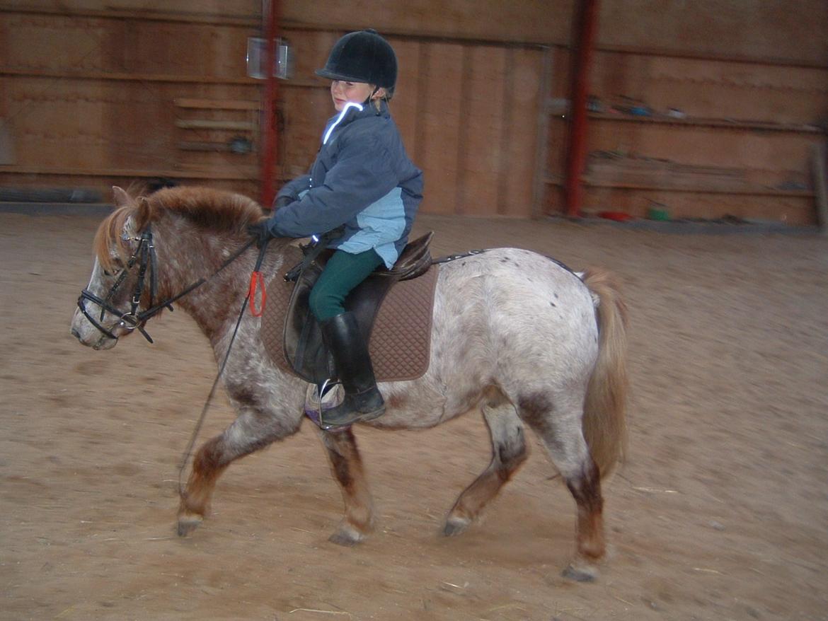 Anden særlig race Viktor  | solgt :( | R.I.P. <'3 :'(( billede 4