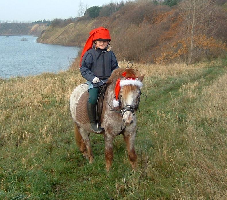 Anden særlig race Viktor  | solgt :( | R.I.P. <'3 :'(( billede 5