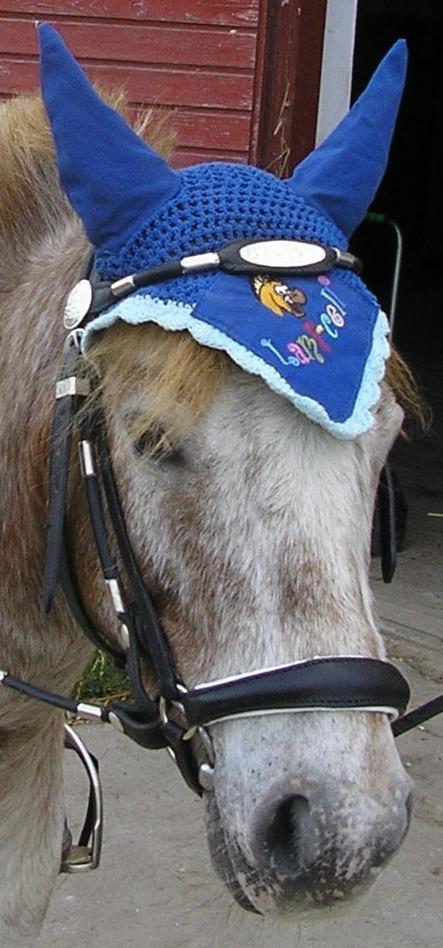 Anden særlig race Viktor  | solgt :( | R.I.P. <'3 :'(( billede 6