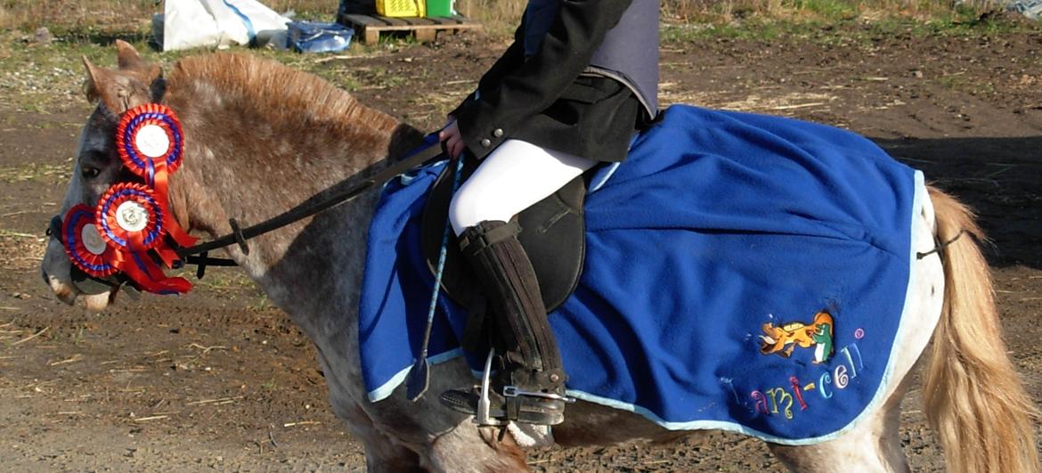 Anden særlig race Viktor  | solgt :( | R.I.P. <'3 :'(( billede 15