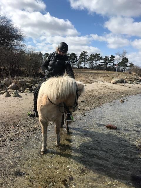 Islænder Jònina fra Isafold  billede 4