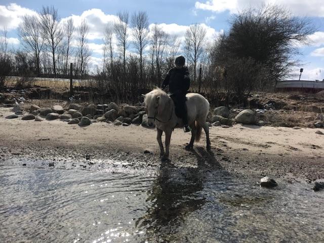 Islænder Jònina fra Isafold  billede 1