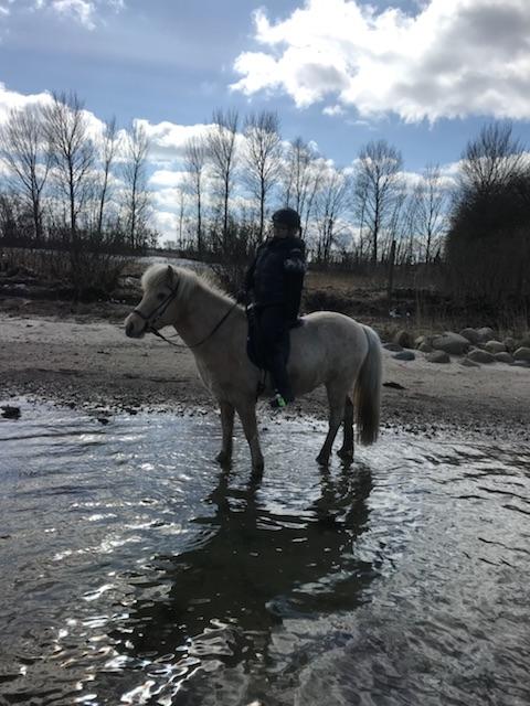 Islænder Jònina fra Isafold  billede 6