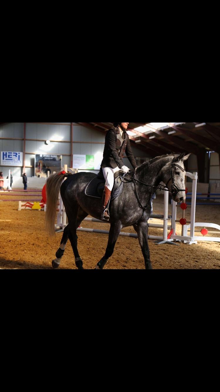 Holstener Casino's sweetheart billede 15