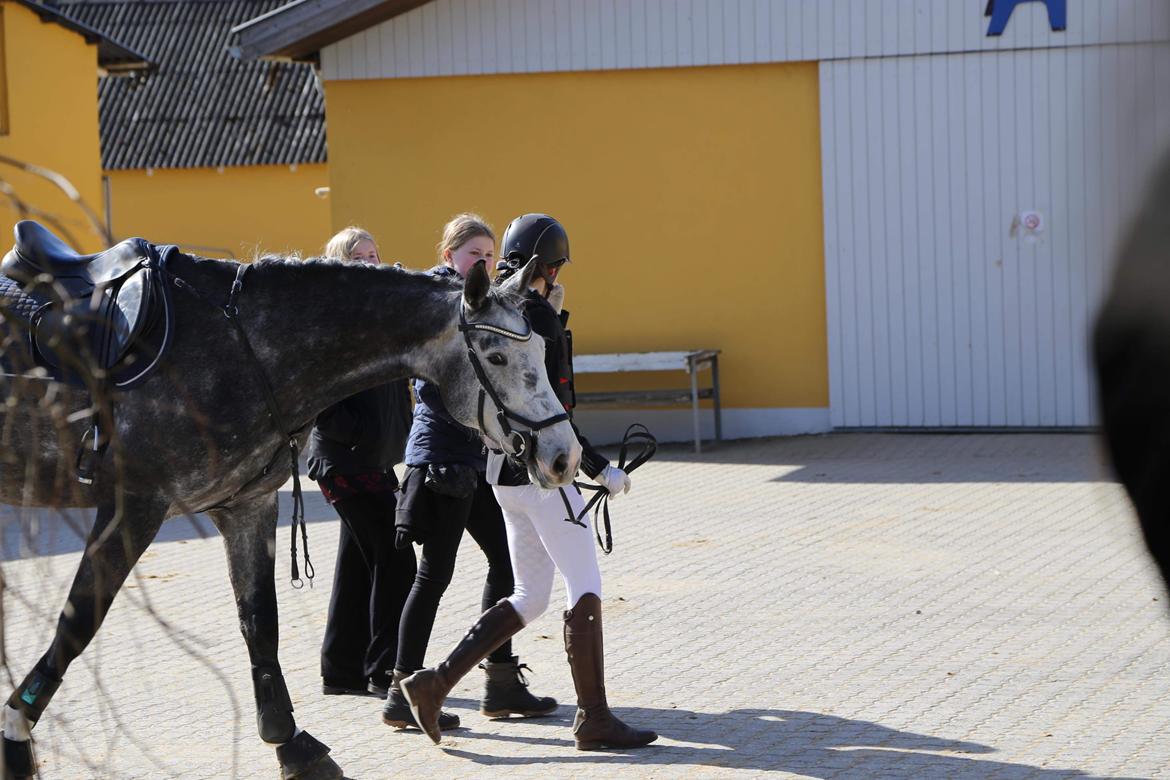 Holstener Casino's sweetheart billede 16