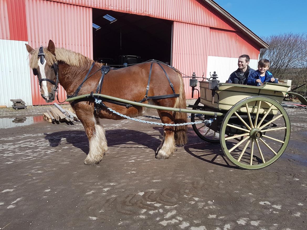 Jyde Helena billede 15