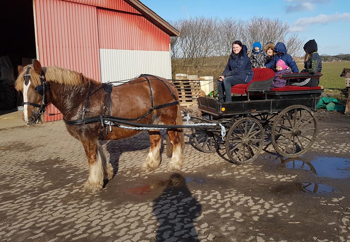 Jyde Helena billede 14