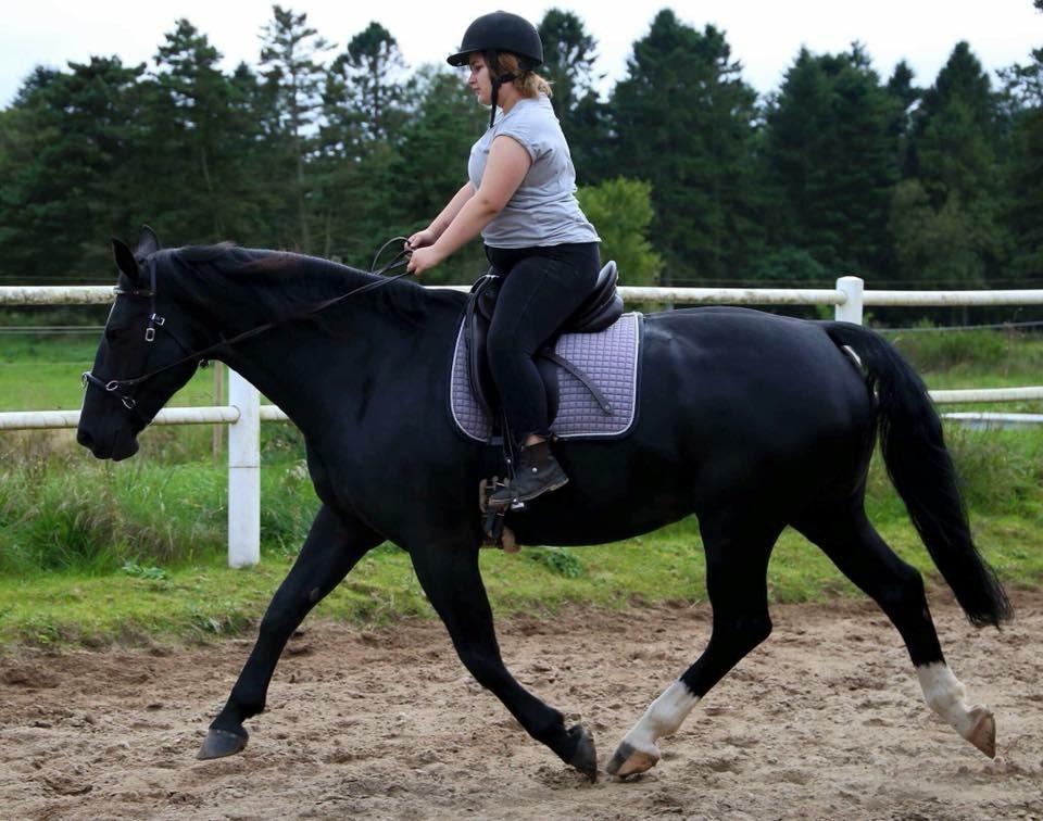 Oldenborg Oline Hedegaard billede 4