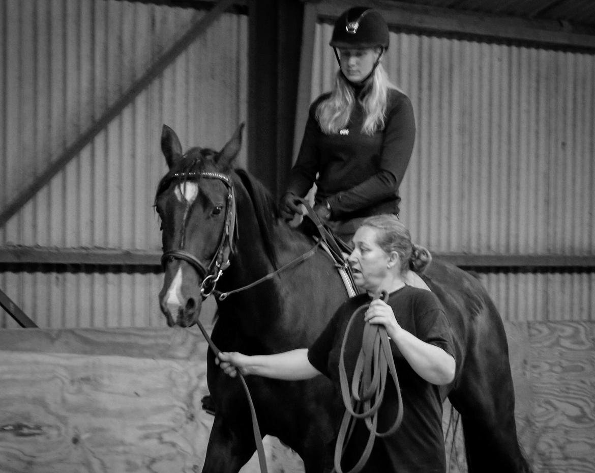 Oldenborg Gogain Hedegaard billede 1