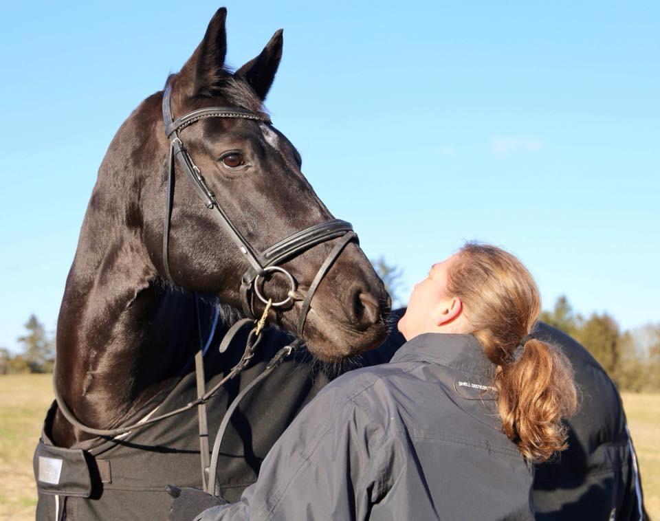 Oldenborg Reve De Bébé // Star billede 6