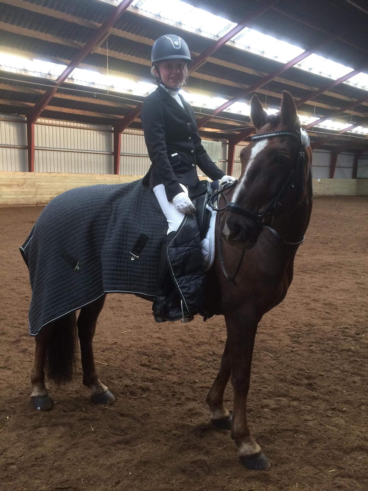 Anden særlig race Siegård's Achilleus - Opvarmning på Skovly rideklub<3 billede 10