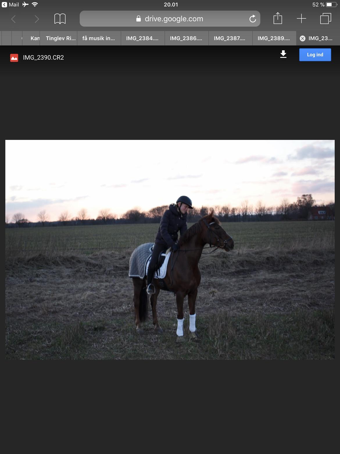 Anden særlig race Siegård's Achilleus billede 14