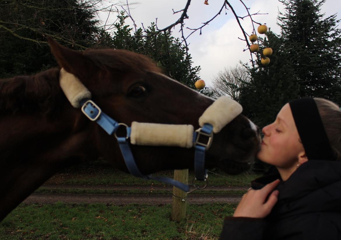 Anden særlig race Siegård's Achilleus - Møs møs!<3 billede 5
