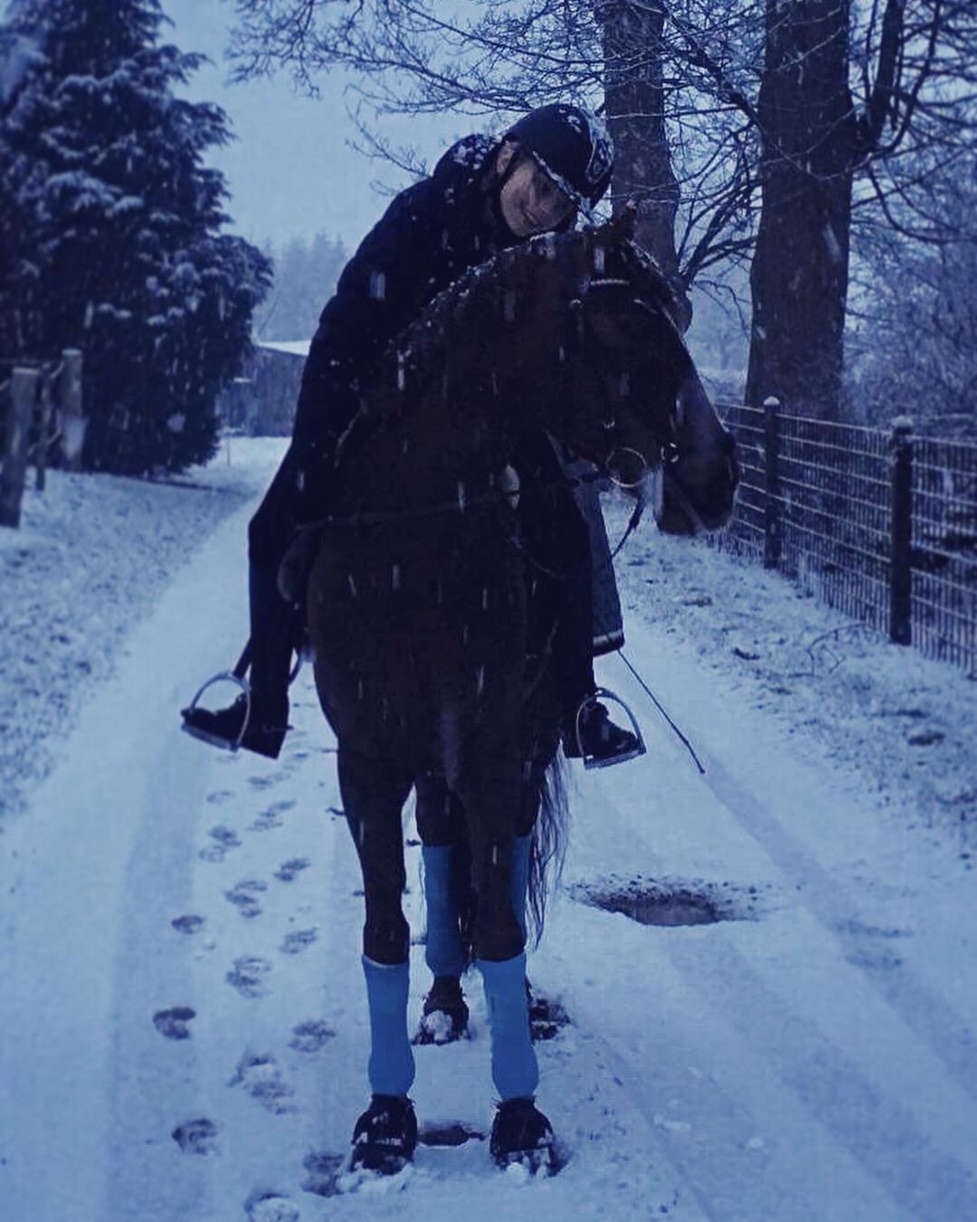 Anden særlig race Siegård's Achilleus billede 15