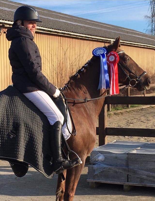 Anden særlig race Siegård's Achilleus - Velkommen til Achilleus profil!<33 billede 1