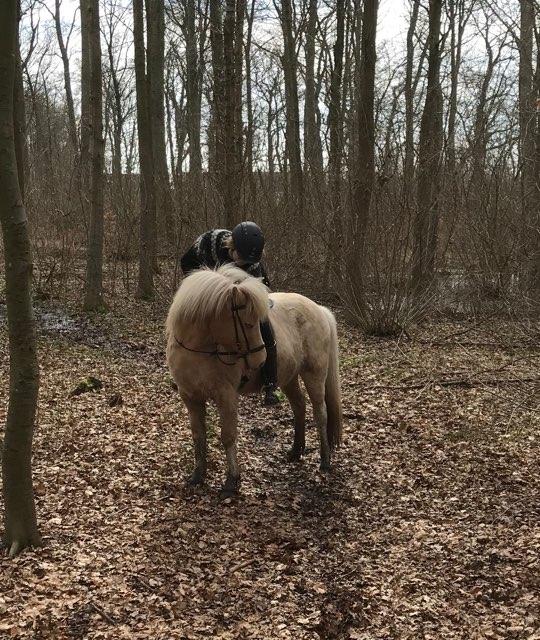 Islænder Jònina fra Isafold  billede 7