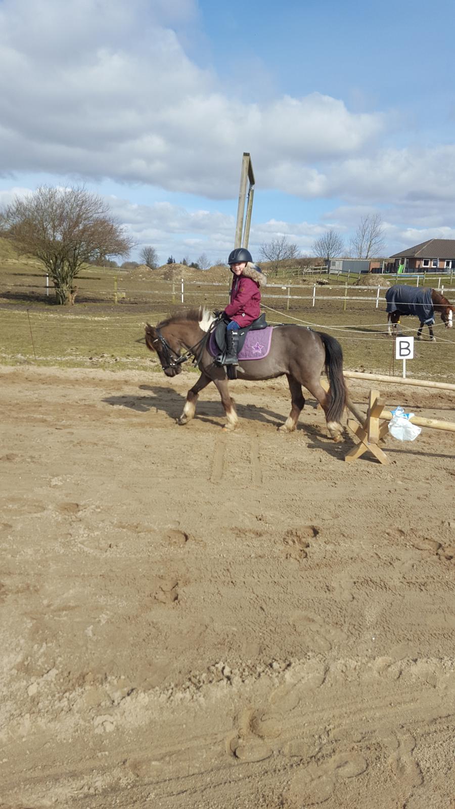 Anden særlig race Filuca  billede 6