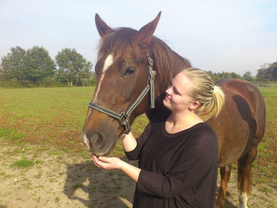 Anden særlig race Zantox billede 2