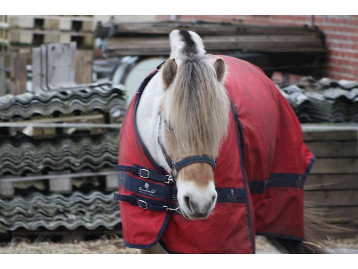 {{currentPhoto.altText}} billede {{currentPhoto.number}}