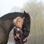 Anden særlig race Micado