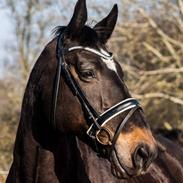 Oldenborg Bianca