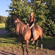 Fuldblod (XX) Casino XX RIP