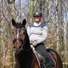 Dansk Varmblod Vh's Sweet Darling