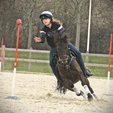 Anden særlig race Jumper 