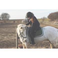 Connemara CURRAGHVIEW CHARLIE [Tidl. Lånepony]