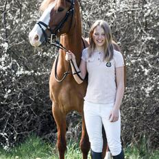 Anden særlig race Deja Vu