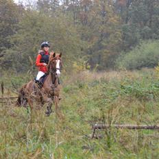 Anden særlig race Deja Vu