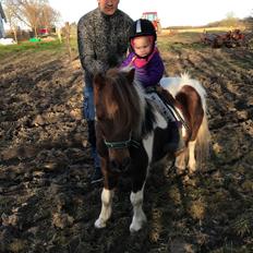 Anden særlig race Whisky