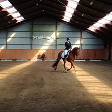 Anden særlig race Balu