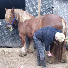 Jyde Fie tindbæklund