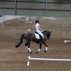 DSP Stidsbjergs champion