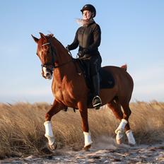 Anden særlig race Magnolias Jessica