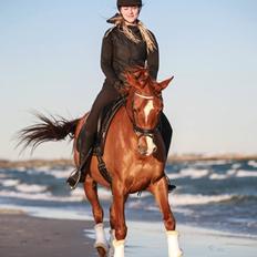 Anden særlig race Magnolias Jessica