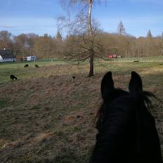 Frieser Uno (Parthest) 