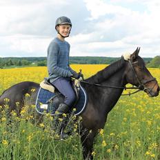 Hollandsk Sportspony Scarlett