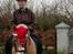 Haflinger Mille *PART*