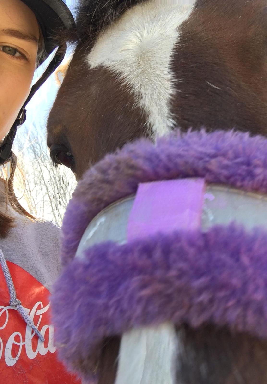 New Forest Kærgaardens Chili billede 6