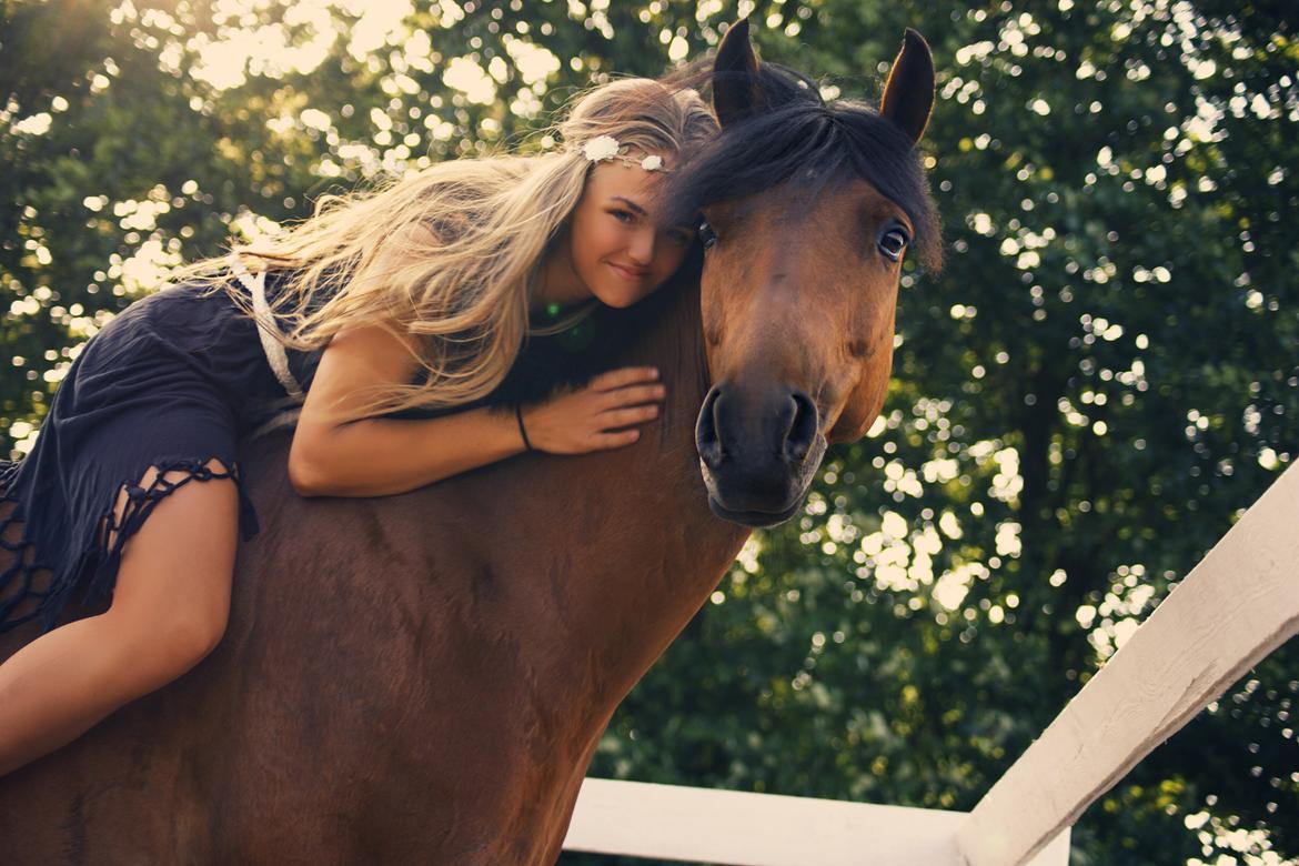 DSP Ryttergårdens Avanti  billede 6