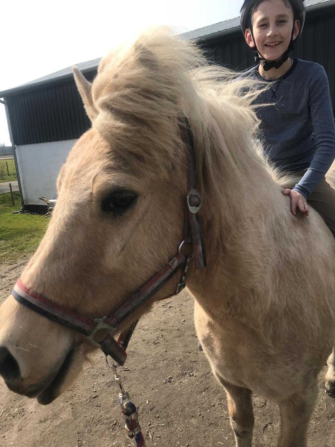 Islænder Jònina fra Isafold  billede 8