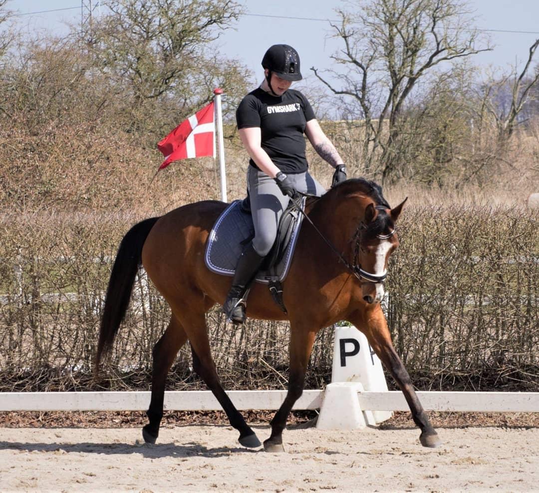 Anden særlig race Gloria billede 1