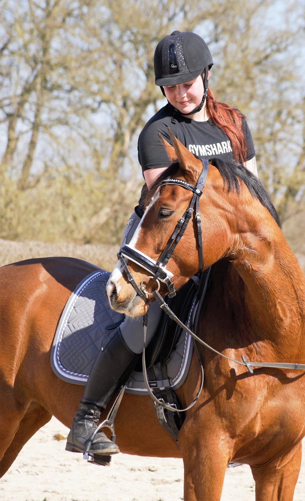 Anden særlig race Gloria billede 3