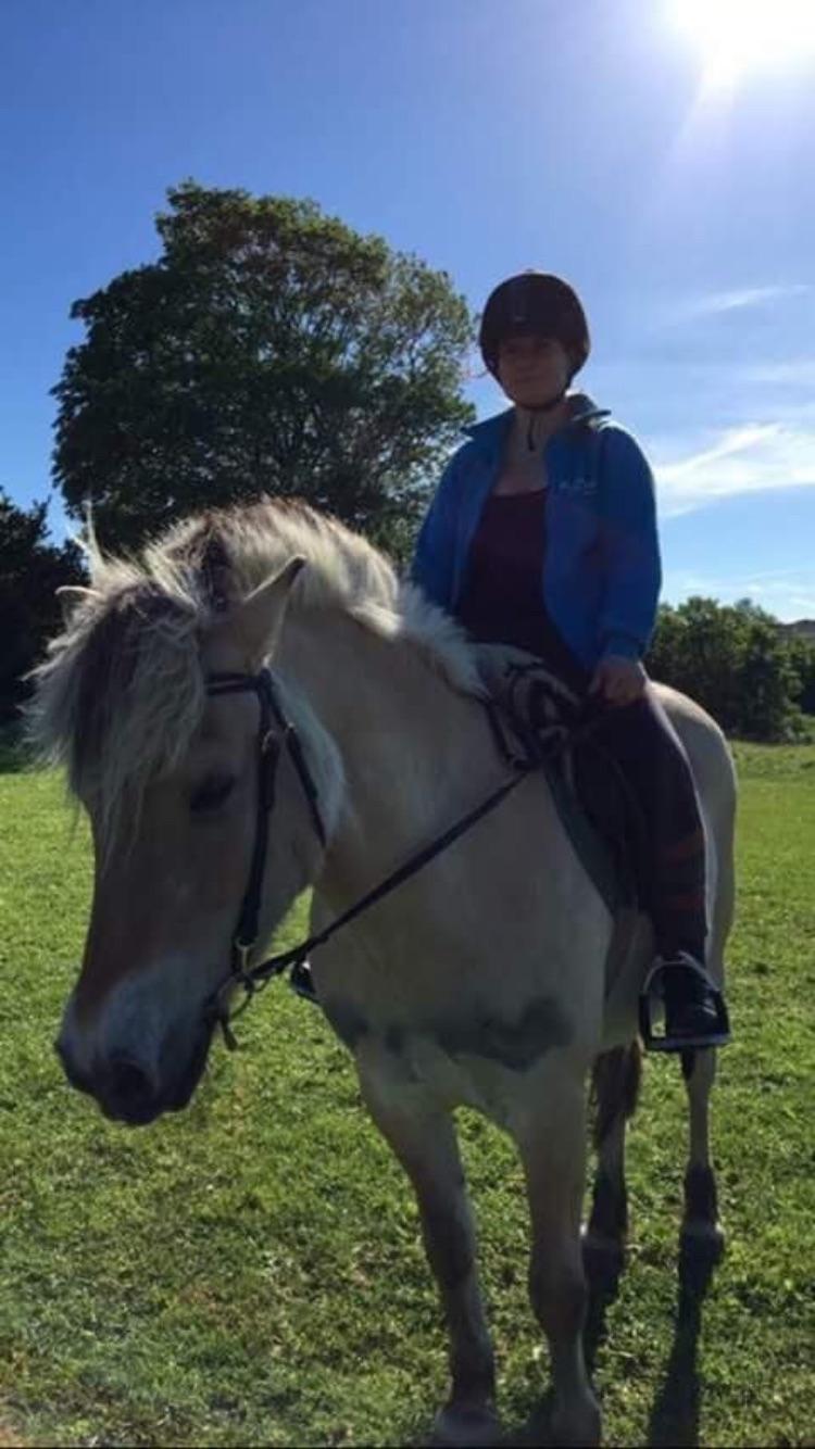 Fjordhest Sasja billede 5