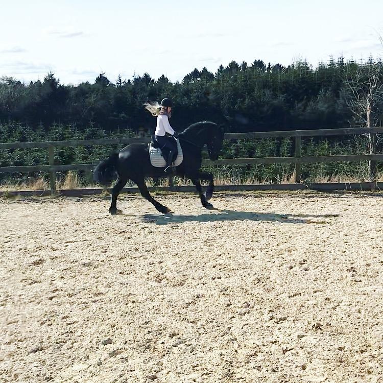 Frieser Van Helsing billede 1