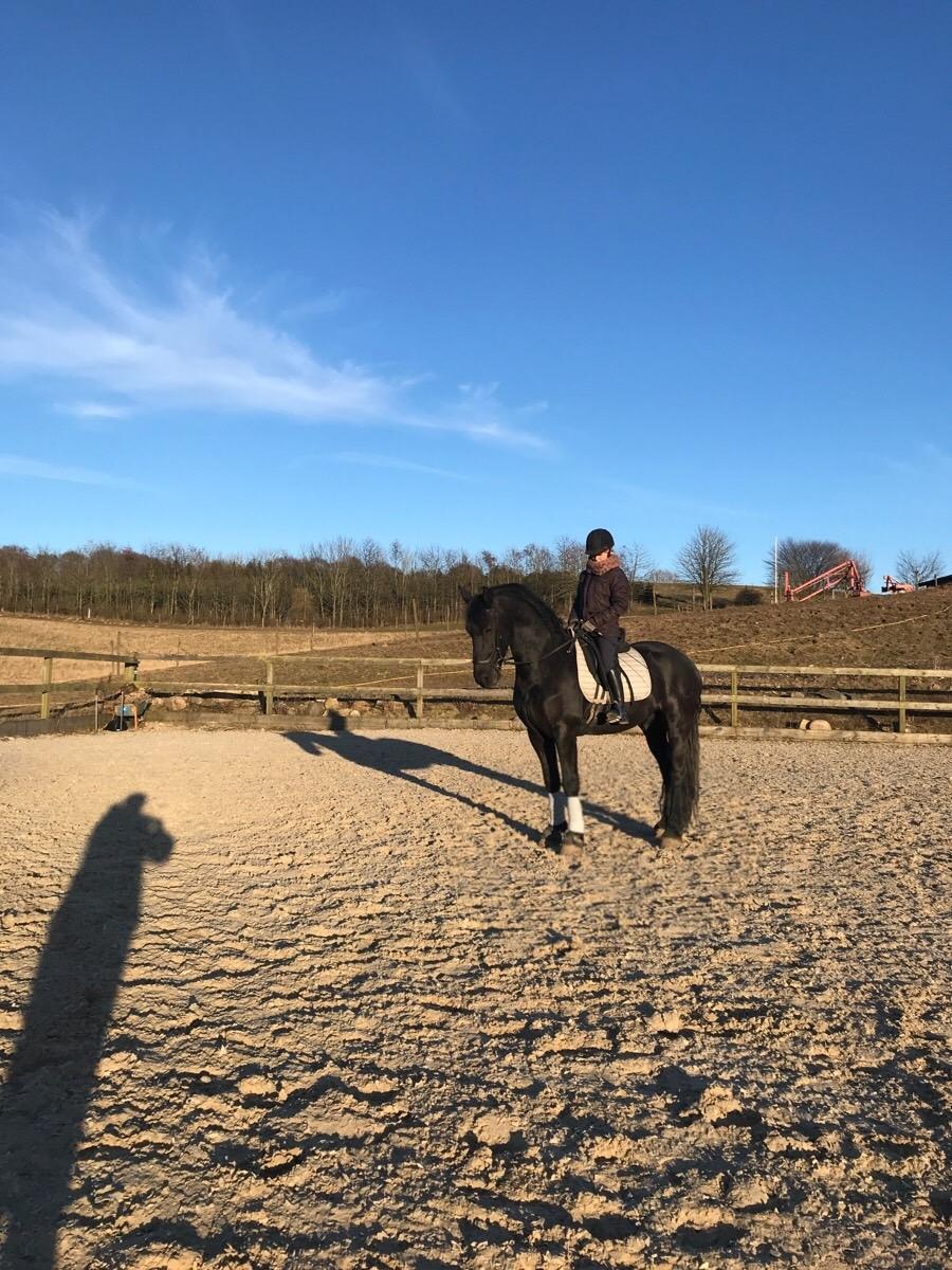 Frieser Van Helsing billede 14