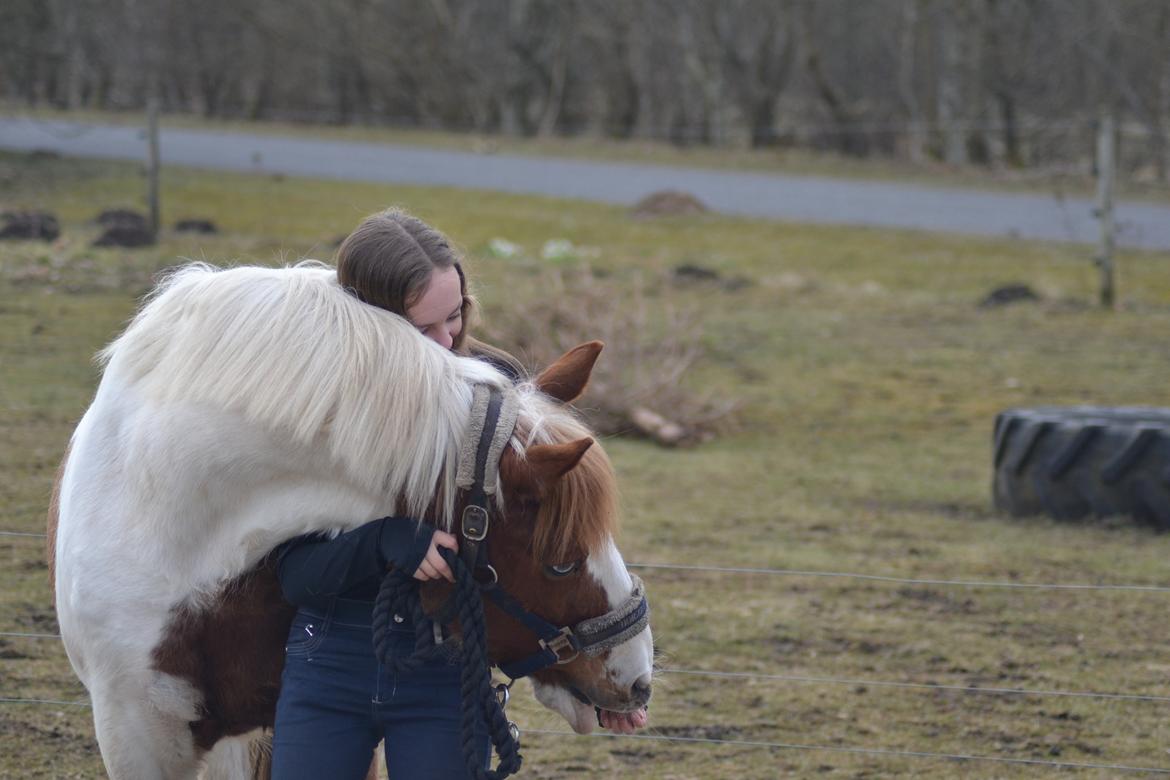 Anden særlig race Susan. (SAVNES!!!) - I med gang og mod gang <3 billede 19