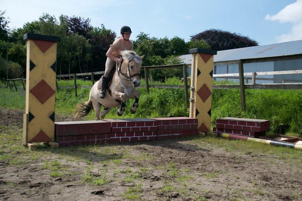 Fjordhest Leedals Lukas - Ikke vores stærke side, men sjovt. billede 6